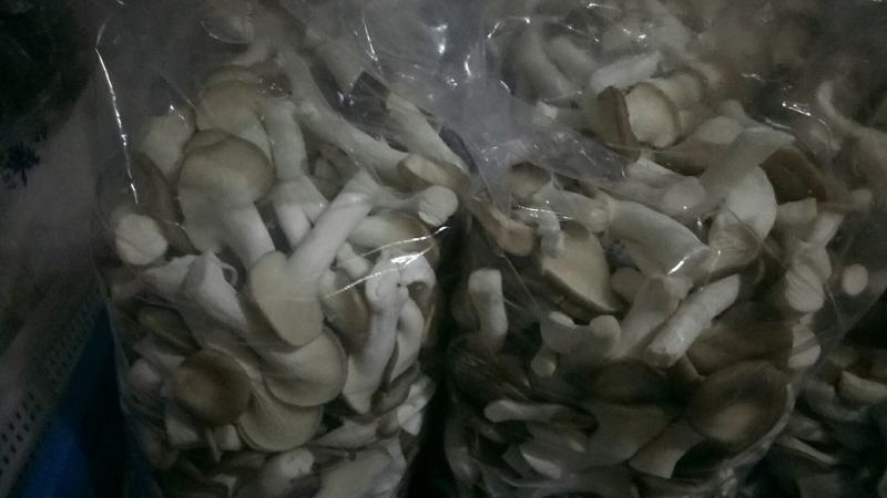 秀珍菇