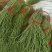 精品长豆角大量上市中有实力的加工厂联系吧