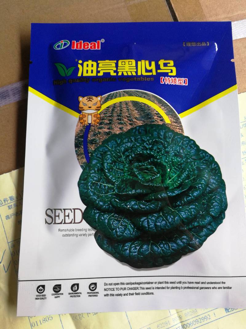 油亮黑心乌，外叶墨绿而有光泽，旋心叶面褶皱，质脆味甜。