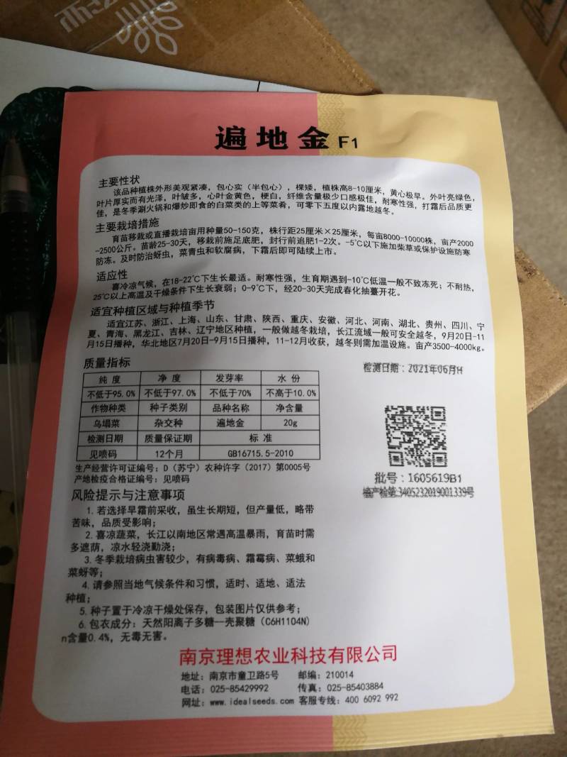 遍地金，特矮型，半包心，包心实，外形美观紧凑。