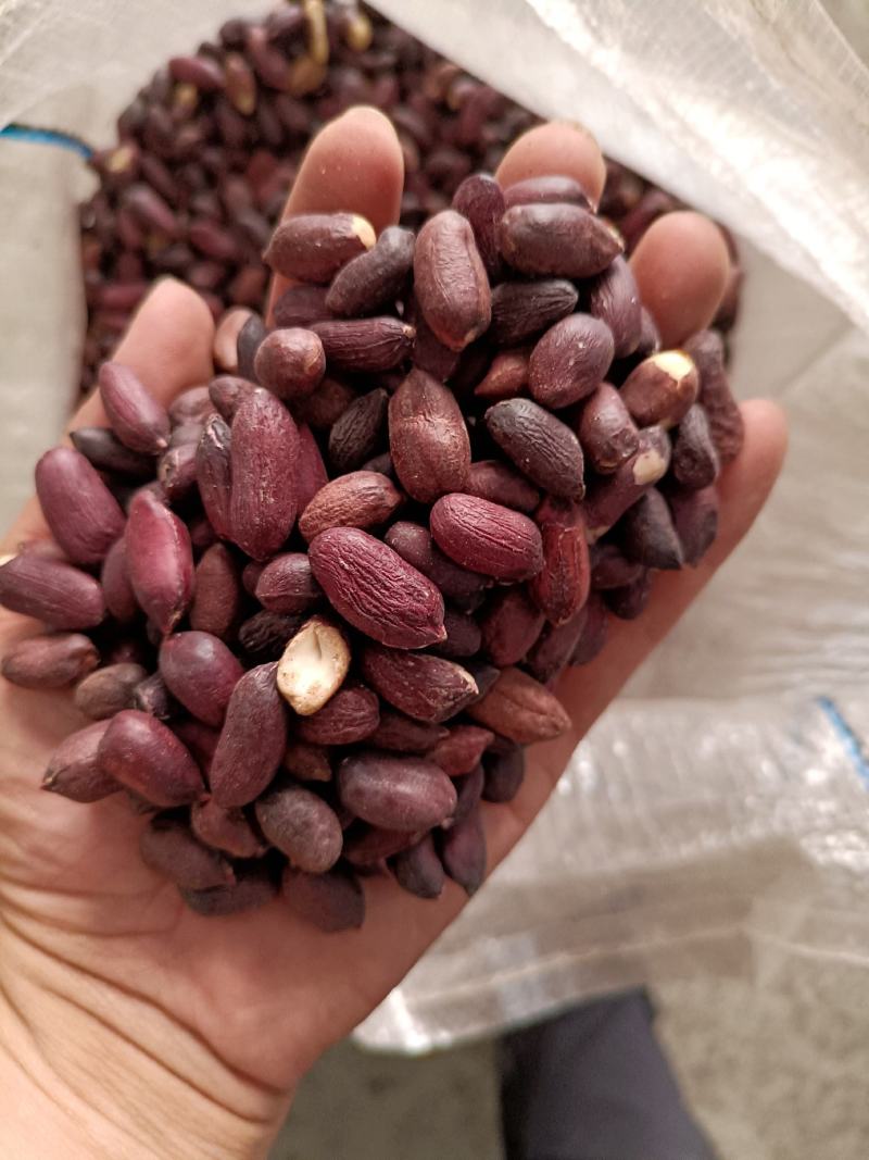 黑花生米！花生果，去壳花生米，所有商品不包邮！物流发货！