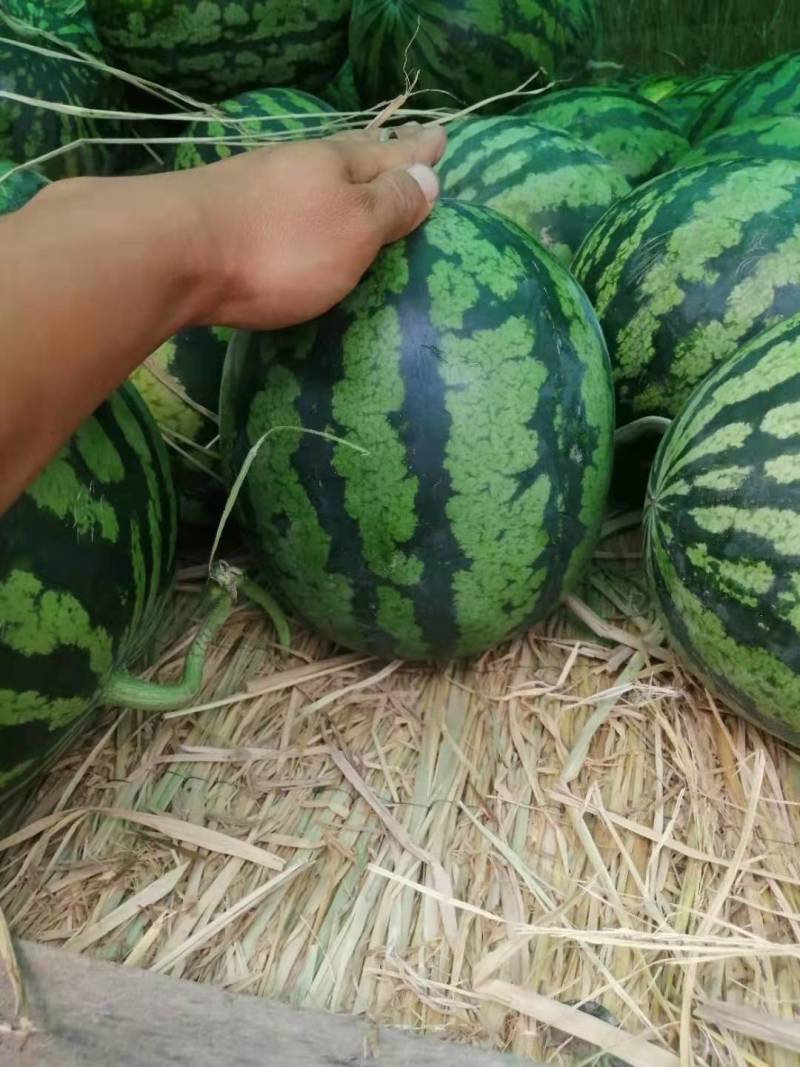 西瓜，品种齐全，产地直供，欢迎选购