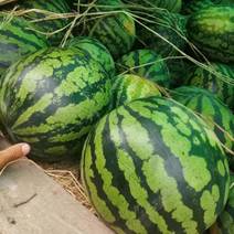 西瓜，品种齐全，产地直供，欢迎选购
