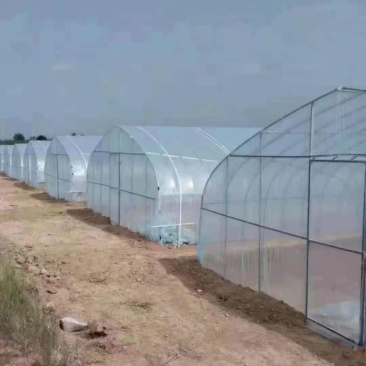 大棚膜8~12丝，厂家直销。欢迎新老客户进店选购。