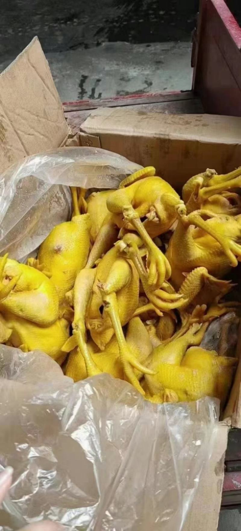 盐焗鸡盐焗鸡腿盐焗鸡翅八成熟地摊货源批发一件代发50