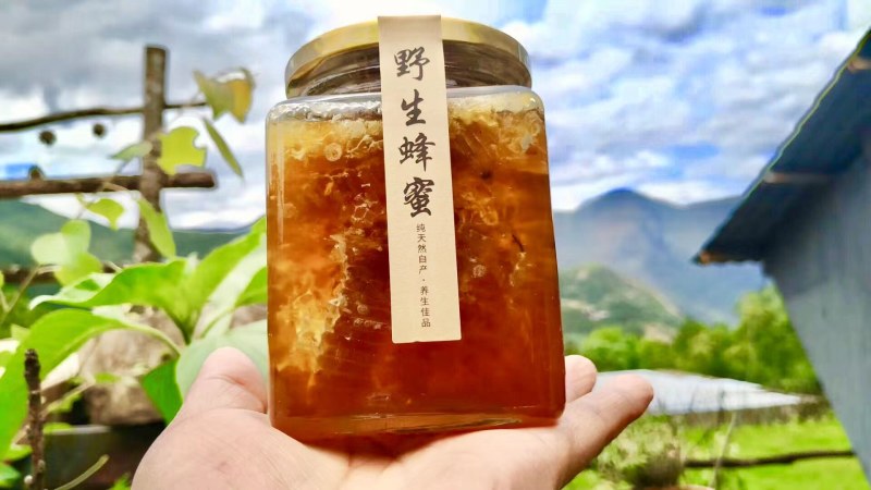 原生态野生蜂蜜，纯正野生土蜂蜜，现割现发