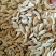 黄瓜子药食两用五谷磨房原料干净无杂质可打粉