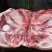 猪肉
