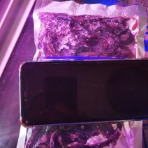 分割肉