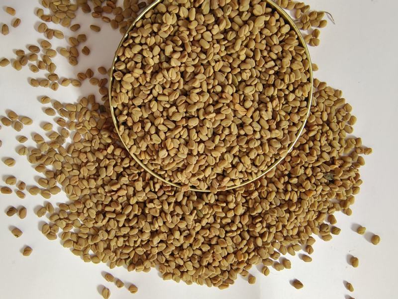 中药材芦巴子芦巴子葫芦巴苦豆子国产新货