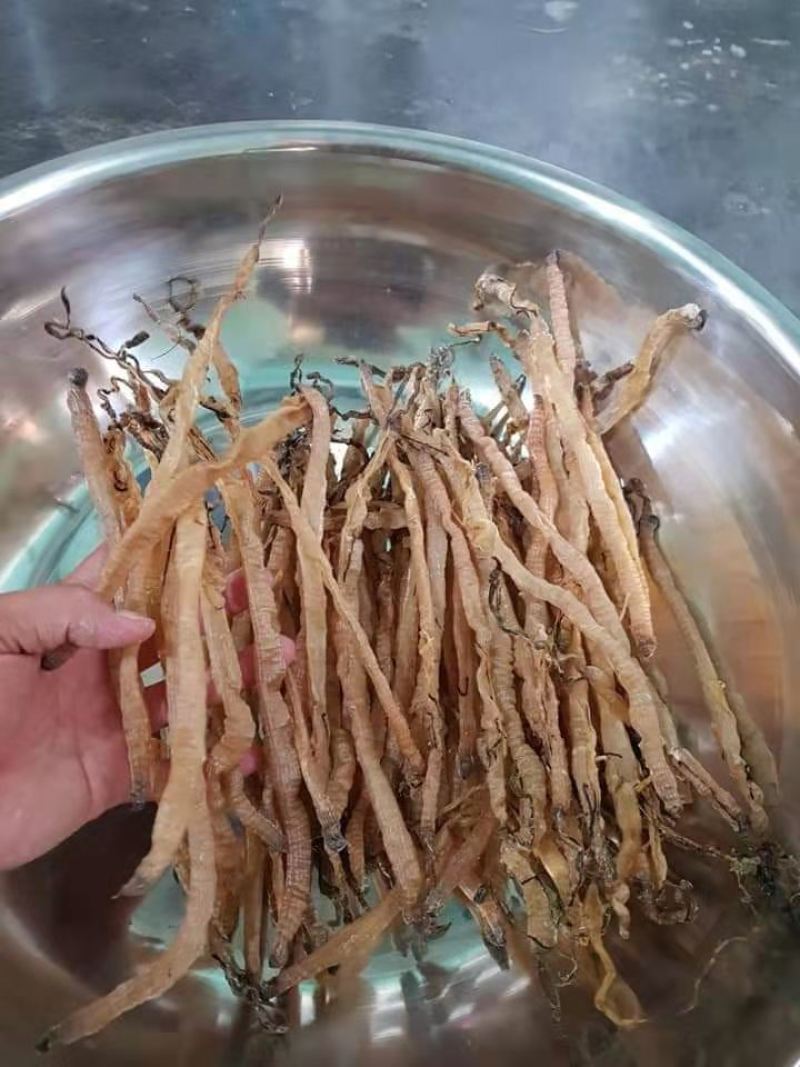 沙虫，