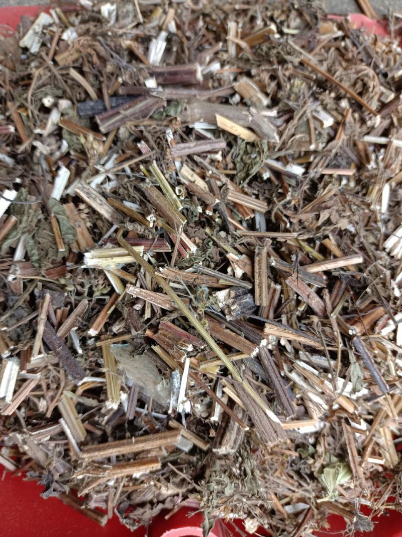 产地供应溪黄草