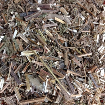 产地供应溪黄草