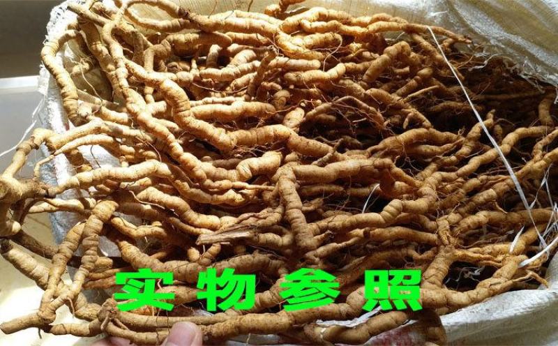 养生药膳新鲜凤眼根巴戟天煲汤泡酒炖品中药食材