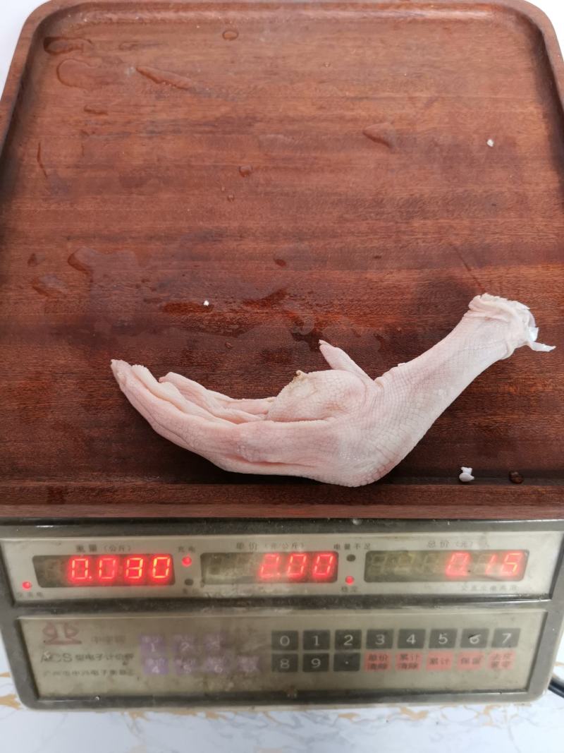 一斤6到7个大鹅掌特大鹅脚一箱30斤鲍汁扣掌卤水拼盘专用