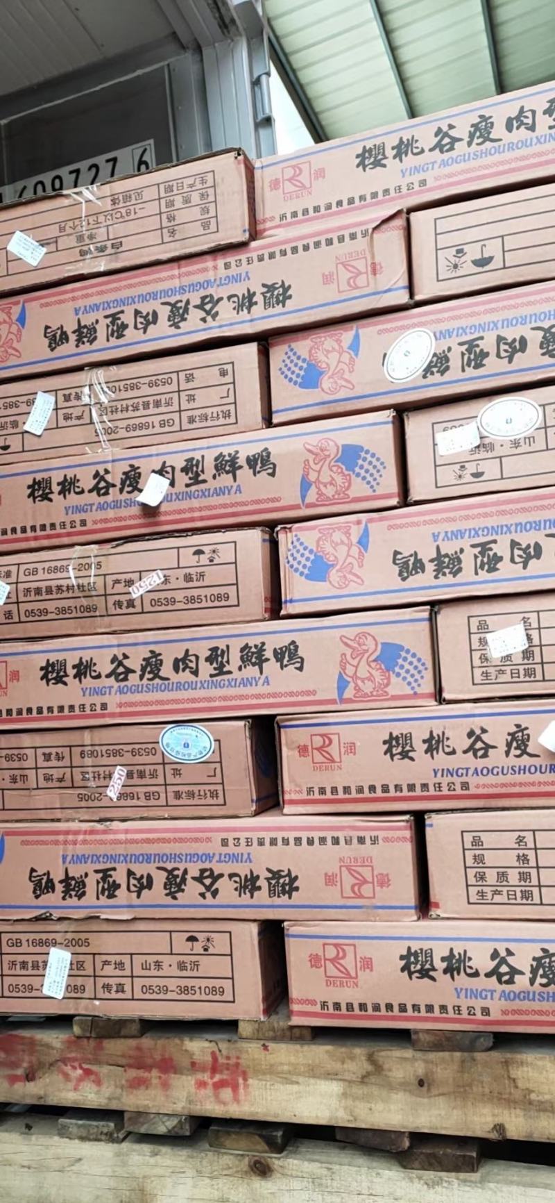 新鲜冷冻鸭子烧鸭专用大白条鸭生鸭肉卤水鸭2斤-3斤小鸭子