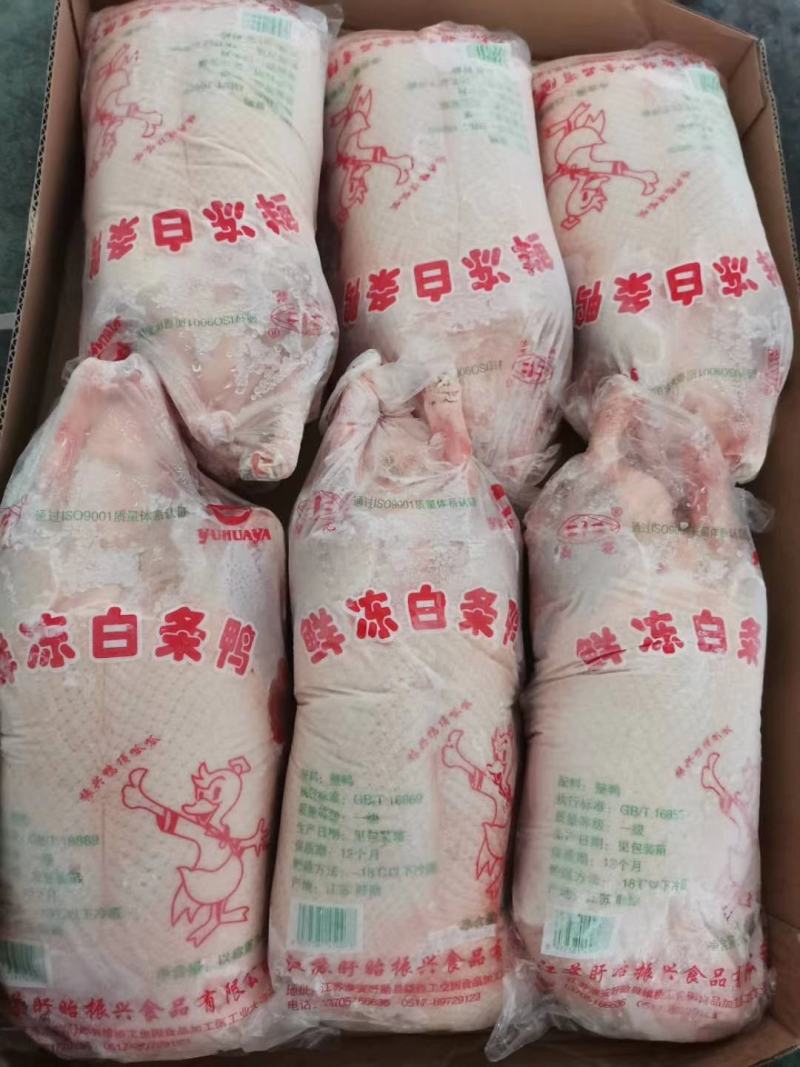 新鲜冷冻鸭子烧鸭专用大白条鸭生鸭肉卤水鸭2斤-3斤小鸭子