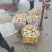荷兰15土豆冷库荷兰土豆批发荷兰土豆质量好