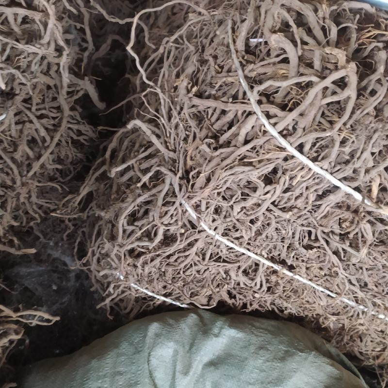 绞股蓝根另有绞股蓝全草千余品种药材批发大全不包邮