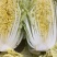 青岛精品大娃娃菜，超市电商平台**