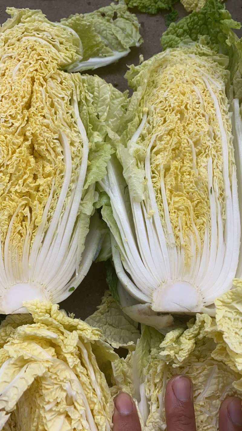 青岛精品大娃娃菜，超市电商平台**