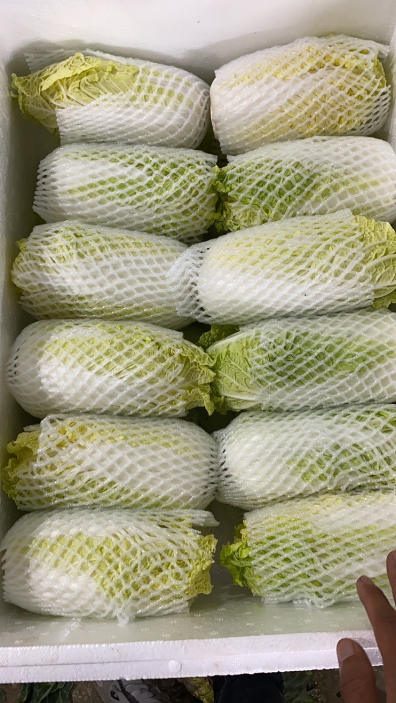 青岛精品大娃娃菜，超市电商平台**