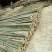 常年有毛竹，竹尾出售。各种大，小，长，短规格都有