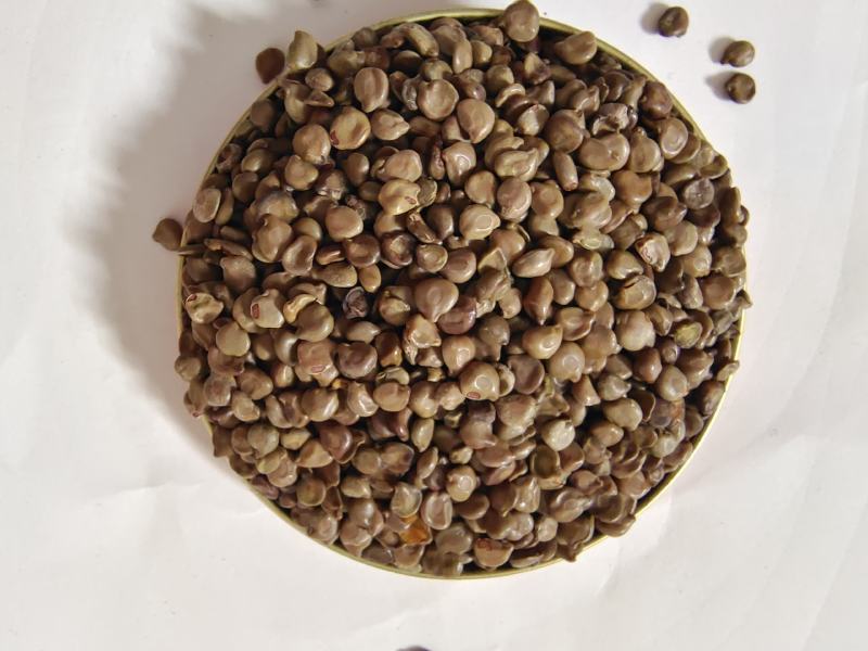 望江南望江南大货新货常年供应。