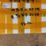 广西农业学院香蕉苗、西贡粉蕉苗批发