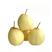 【实力】水晶梨，又称鸭梨，质优价廉，主供商场超市
