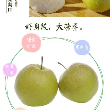 玉露香梨，优质香梨基地直供量大从优供商超