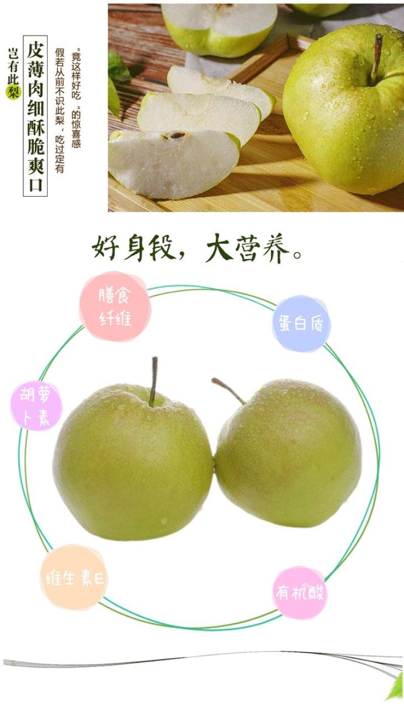玉露香梨，优质香梨基地直供量大从优供商超