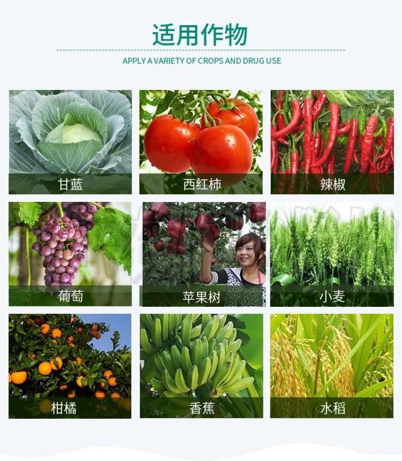 爱妙50%苯甲丙环唑纹枯锈病具有内吸预防保护有效杀菌剂