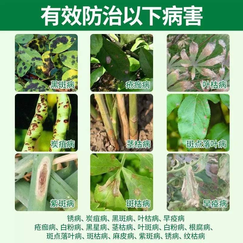 爱妙50%苯甲丙环唑纹枯锈病具有内吸预防保护有效杀菌剂