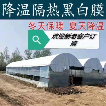 进口黑白膜隔热养殖食用菌大棚