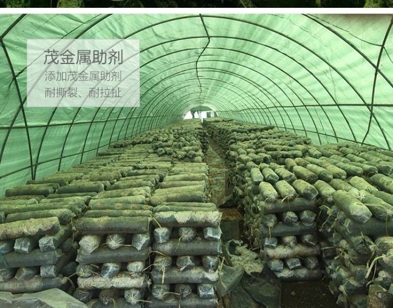 进口黑白膜隔热养殖食用菌大棚