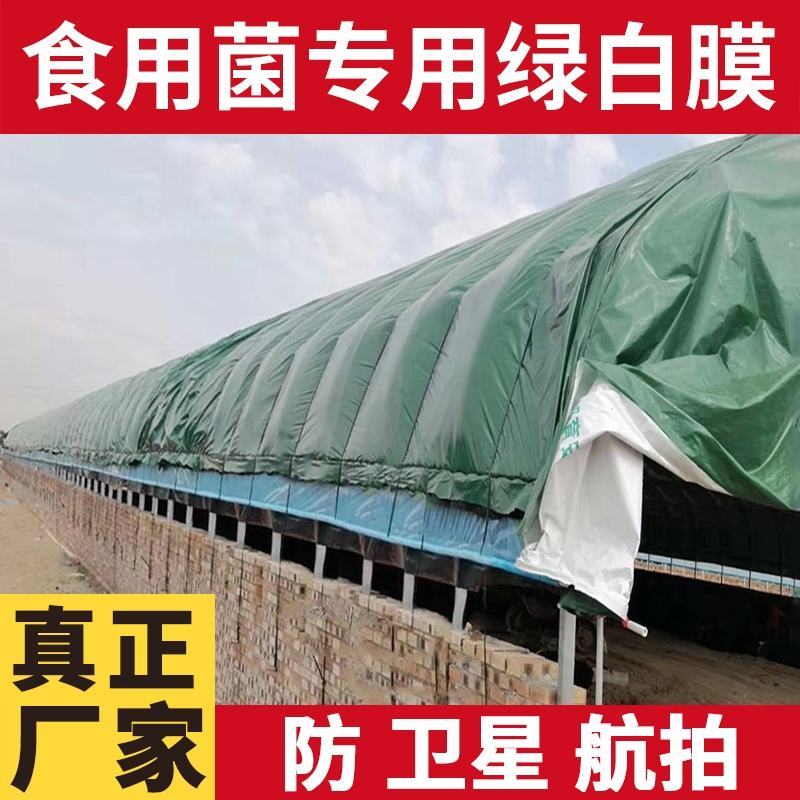 进口黑白膜隔热养殖食用菌大棚