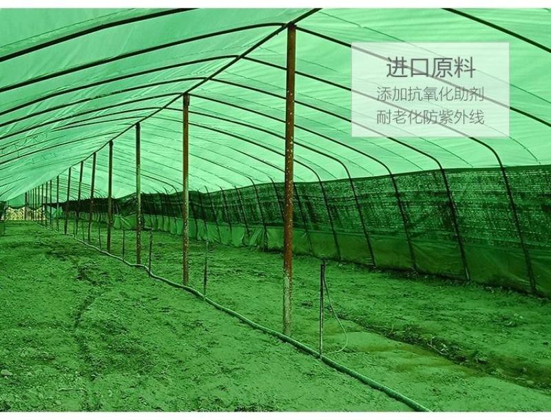 进口黑白膜隔热养殖食用菌大棚