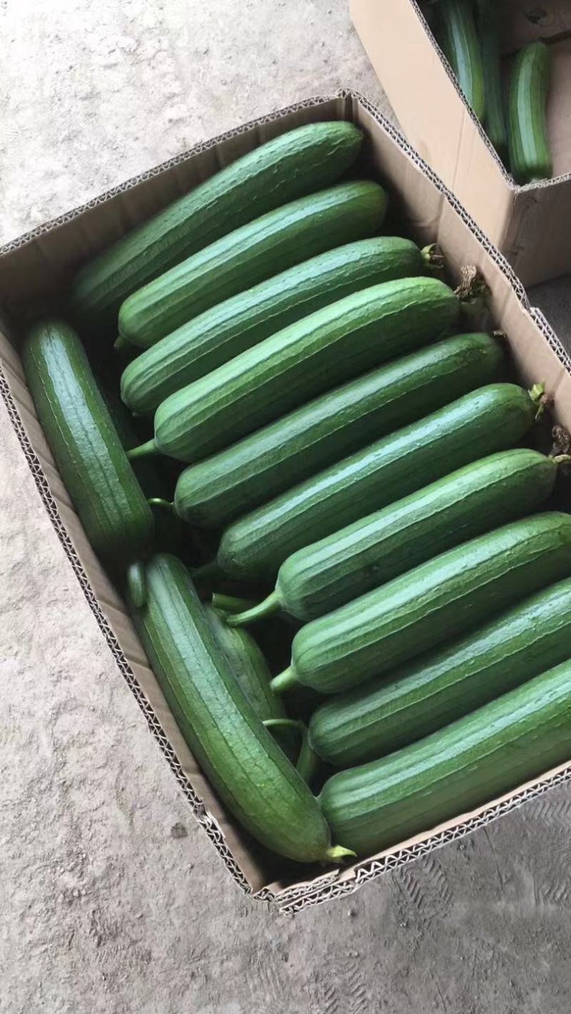 蔬菜