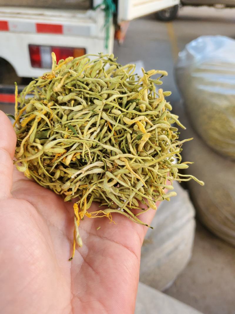 山东金银花产地直供，量大优惠。欢迎大家前来选购