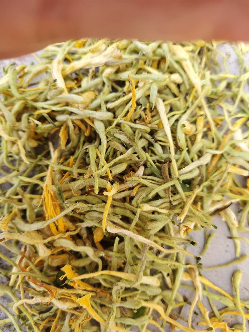 山东金银花产地直供，量大优惠。欢迎大家前来选购