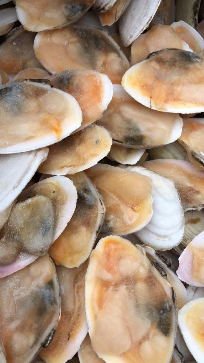 产地直销半壳白贝刀贝冷冻半壳贝江苏海鲜水产