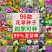 野花组合花种子四季种开花不断格桑花种子花海庭院绿化花种子