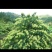 亮货上市