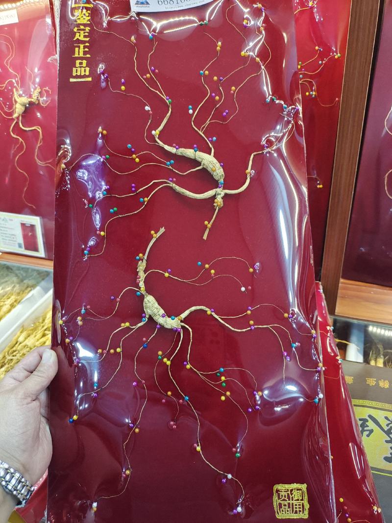林下参，野播籽参，夫妻参，彩珠钉板参，六十公分礼盒