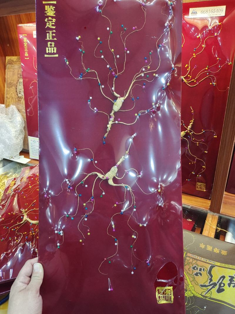 林下参，野播籽参，夫妻参，彩珠钉板参，六十公分礼盒