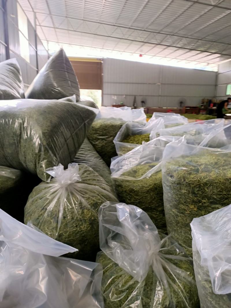 金银花