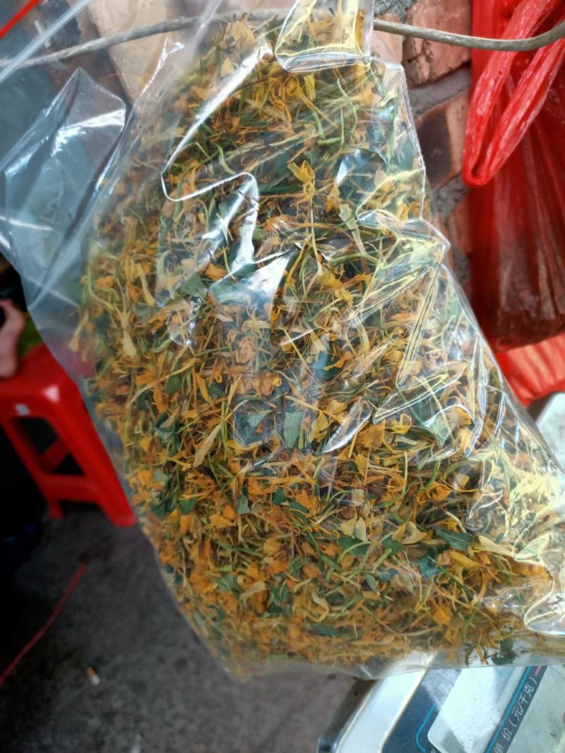 金银花