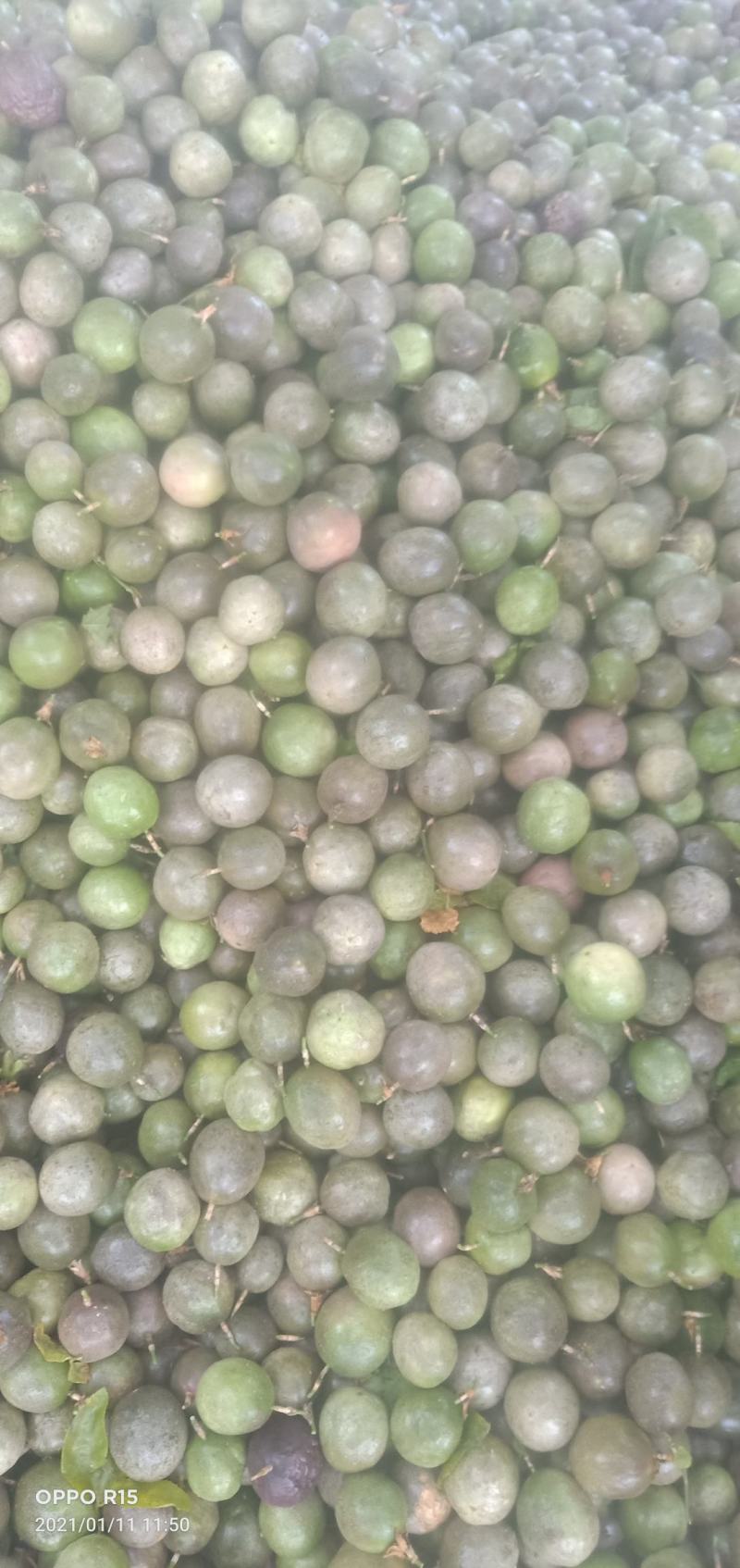 广西百香果次果奶茶店加工厂电商专用果统货