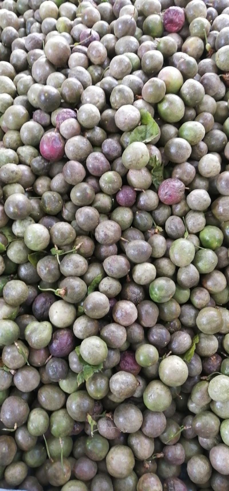 广西百香果次果奶茶店加工厂电商专用果统货